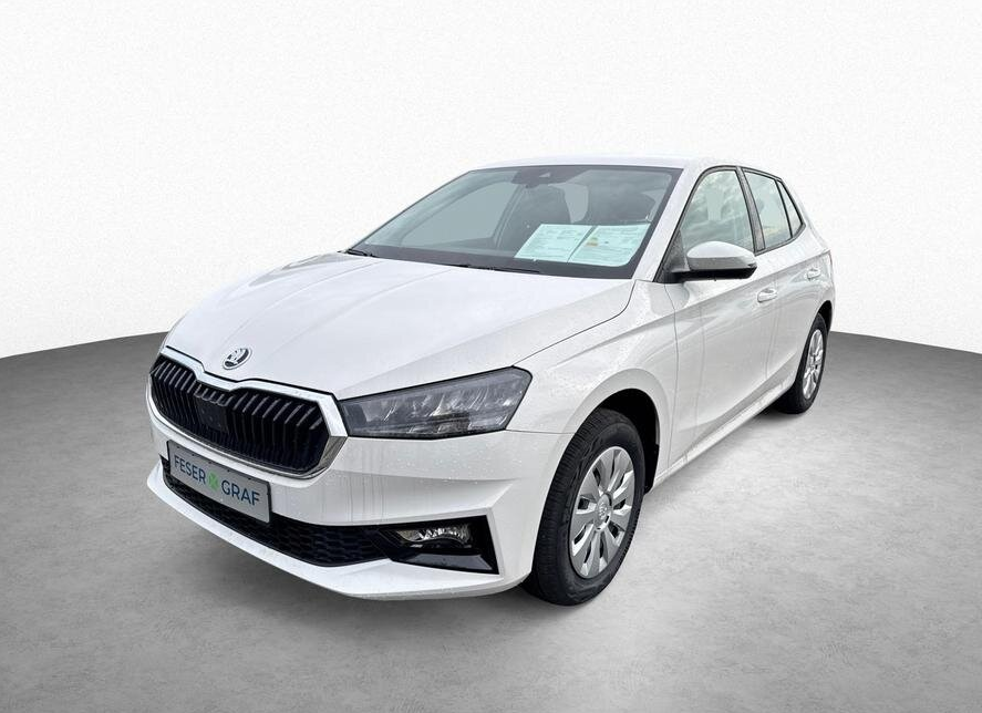 Foto - Skoda Fabia Fahrassist. Plus, Infotainment, Winterpaket