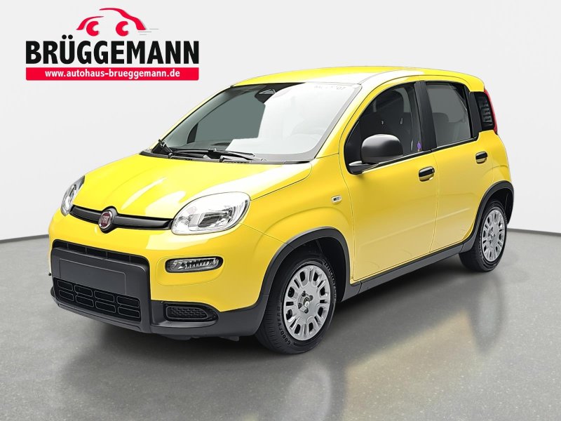 Foto - Fiat Panda 1.0 GSE HYBRID CITY PAKET, DAB