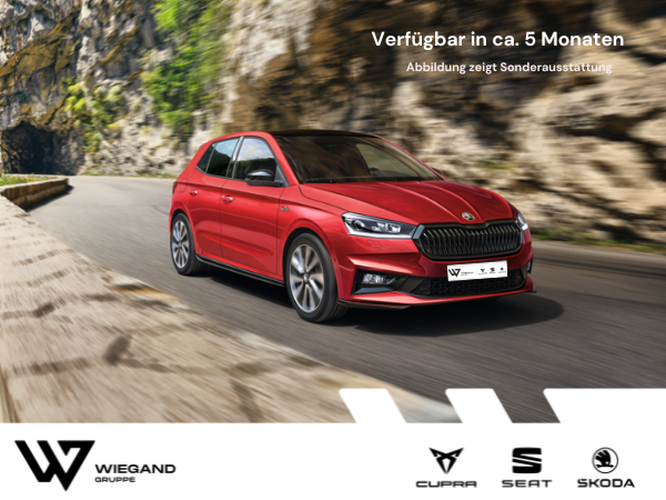 Monte Carlo 1,0 TSI 85kW (115PS) - Bestellaktion Privat