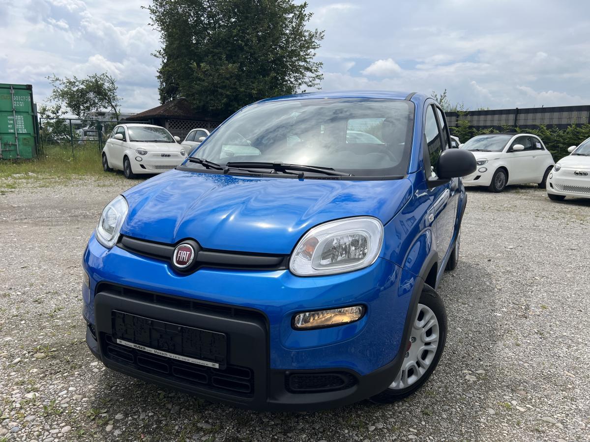 Foto - Fiat Panda MY24 rot, blau und schwarz | NUR Abholung vor Ort möglich!