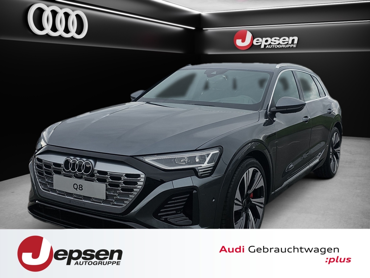 Foto - Audi Q8 e-tron S line 55 quattro Luft ACC HUD MATRIX