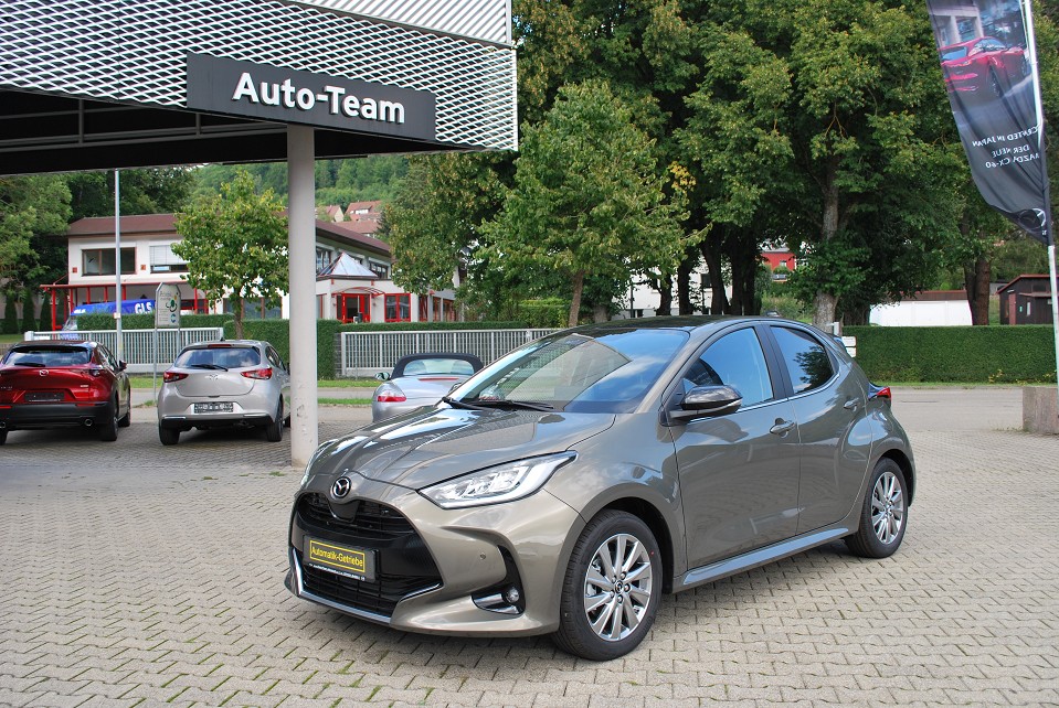 Hybrid Select Apple Carplay/Android Auto Rückfahrkamera Sofort Verfügbar