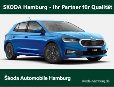 Tour 1.0 TSI DSG 85kw 7-Gang automat.