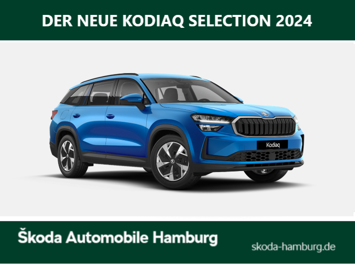 Selection - 2.0 TDI 142 kW 7-Gang aut.