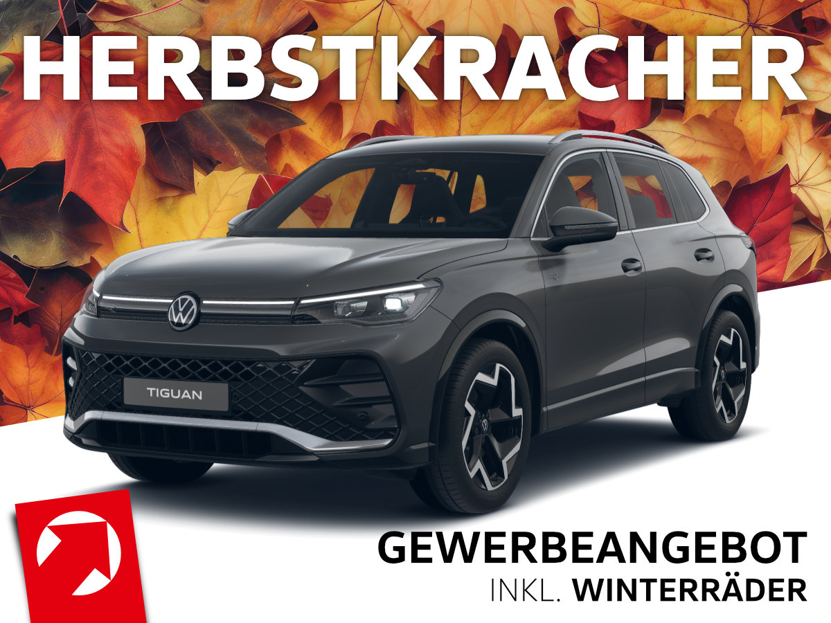 Foto - Volkswagen Tiguan R-Line 2,0 TDI SCR 4MOTION (193PS) DSG* WINTERRÄDER*ACC*LED*KAMERA**GEWERBE*