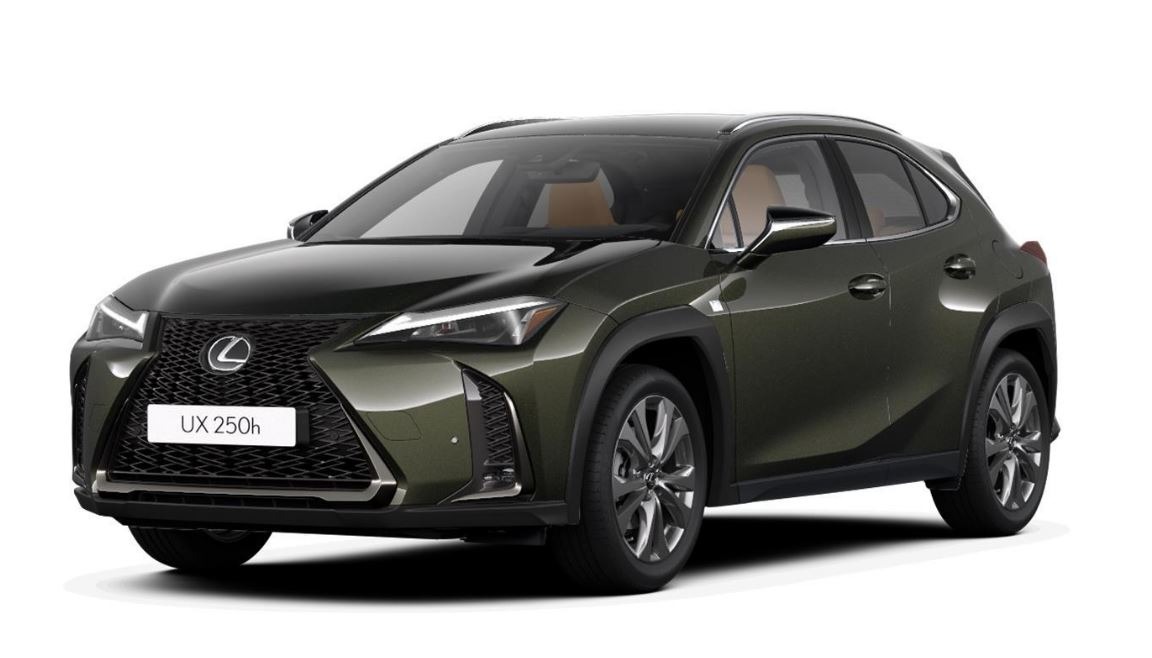 Foto - Lexus UX-300h UX 300h F-Sport Design +Navi+R.Kam+Leder Tahara