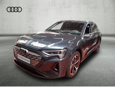 Foto - Audi Q8 e-tron 55 qu. - S line - PANO - ACC - AHK