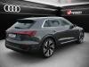 Foto - Audi Q8 e-tron S line 55 quattro Luft ACC HUD MATRIX