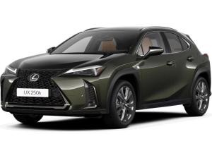 Lexus UX-300h UX 300h F-Sport Design +Navi+R.Kam+Leder Tahara