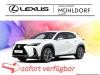 Foto - Lexus UX-300h F Sport Design