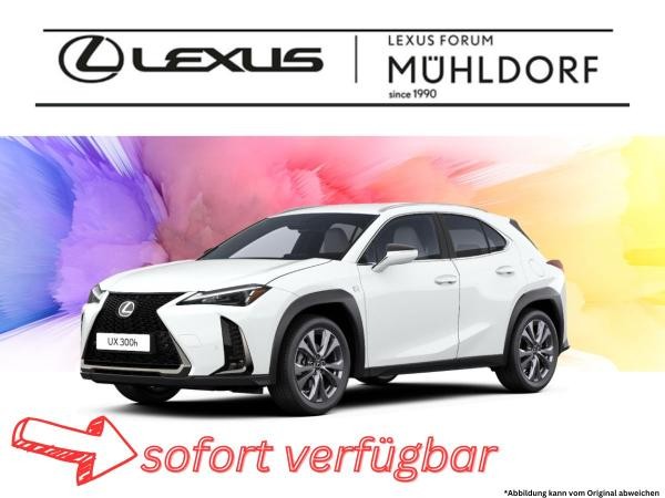 Lexus UX-300h für 268,00 € brutto leasen