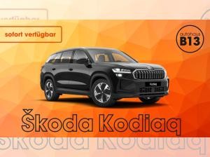 Skoda Kodiaq Selection 2,0 TDI 4x4 DSG 142 kW - sofort verfügbar!